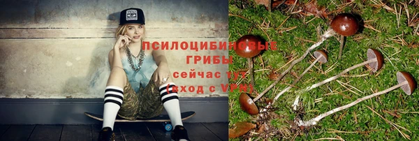 синтетический гашиш Арсеньев