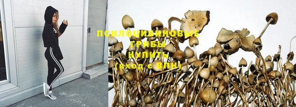синтетический гашиш Арсеньев